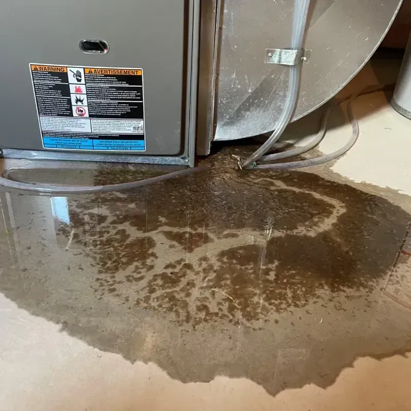 Appliance Leak Cleanup in Hampton County, SC